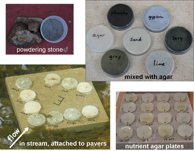 methods used to powder stones and test for algal growth